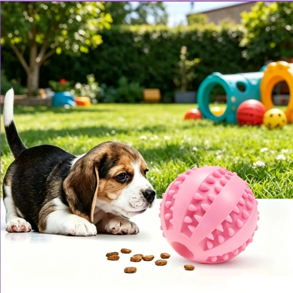 Bite Resistant Dog Toy Ball – Teething Chew Toy & Treat Feeder for Small Medium Large Dogs