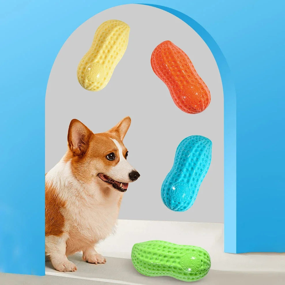Peanut Squeaky Dog Chew Toy – Rubber Teeth Cleaning Interactive Pet Toy