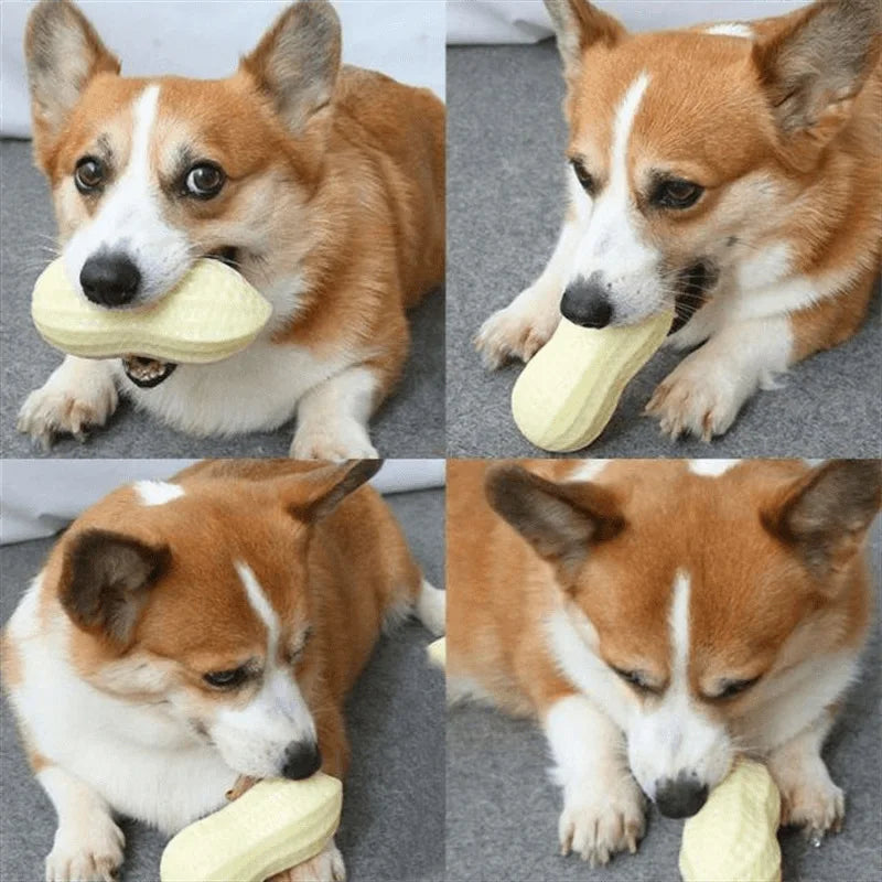 Peanut Squeaky Dog Chew Toy – Rubber Teeth Cleaning Interactive Pet Toy