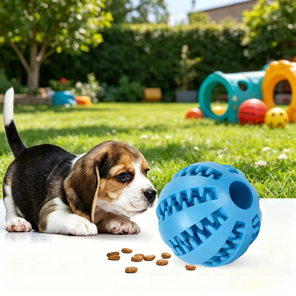 Bite Resistant Dog Toy Ball – Teething Chew Toy & Treat Feeder for Small Medium Large Dogs