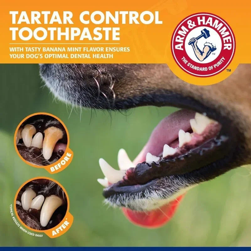 Pet Dental Care Kit – Dog & Cat Toothbrush & Toothpaste Set for Plaque & Tartar