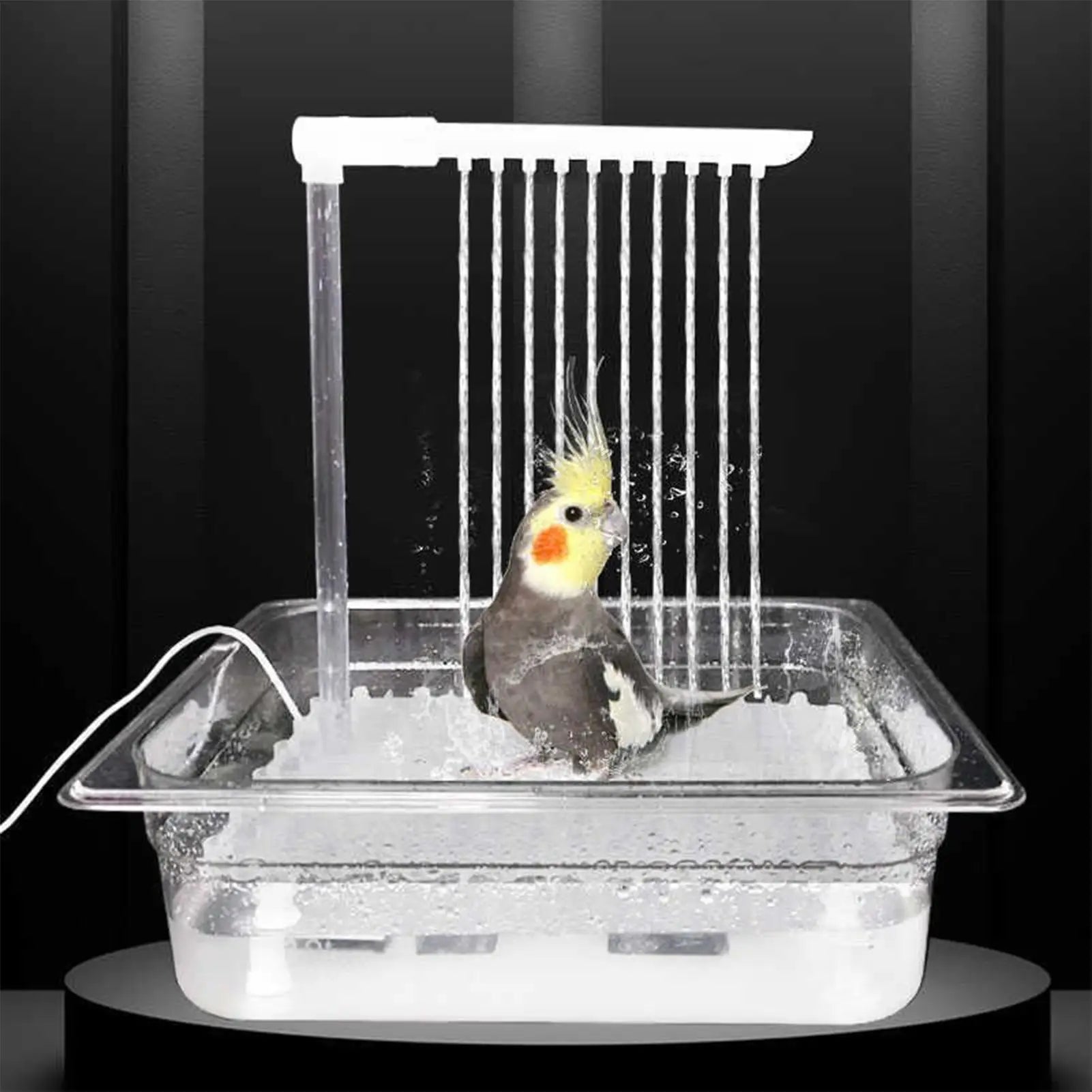 Parrot Automatic Bird Bath Fountain with Pump – USB Running Water Cage Bathing Set for Birds