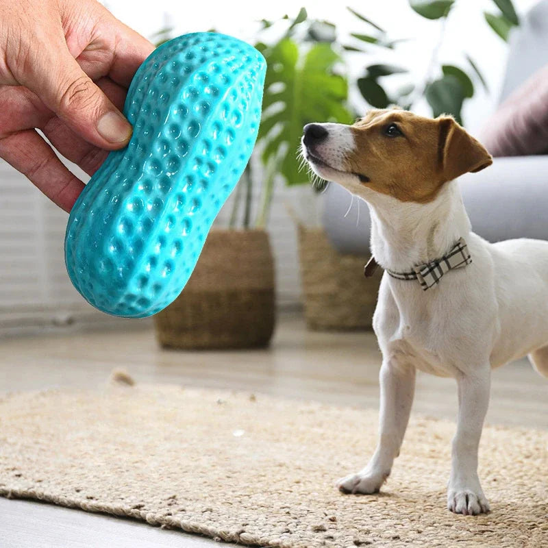 Peanut Squeaky Dog Chew Toy – Rubber Teeth Cleaning Interactive Pet Toy